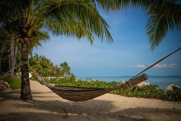 Hoe kun je de Nederlandse cultuur ervaren tijdens een verblijf bij een lokale familie?